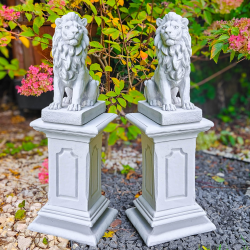 Z-054 + Z-055 + P-001...